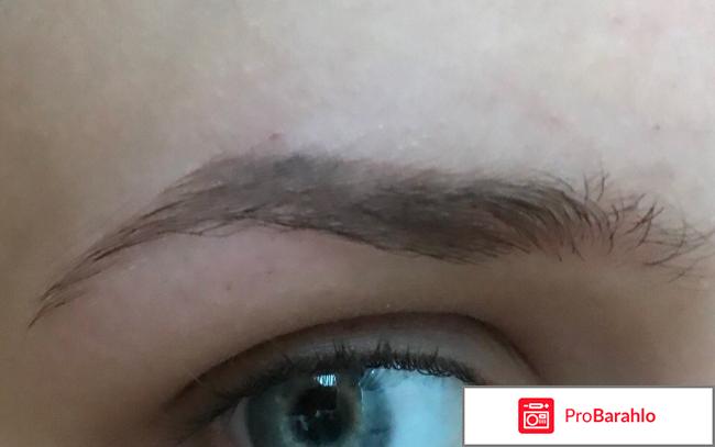 Тинт для бровей Maybelline Tattoo brow 
