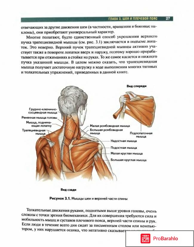 Брет Контрерас. Анатомия силовых упражнений с использованием в качестве отягощения веса собственного тела отрицательные отзывы