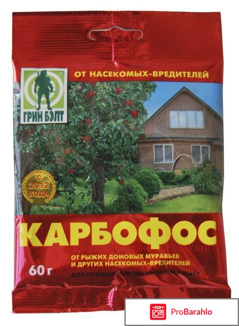 Уничтожение клопов реальные отзывы