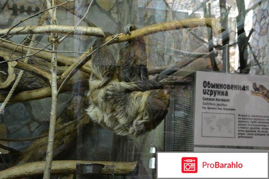 Ленинградский зоопарк обман