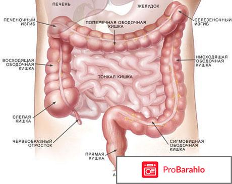 Лавакол для очищения кишечника отрицательные отзывы