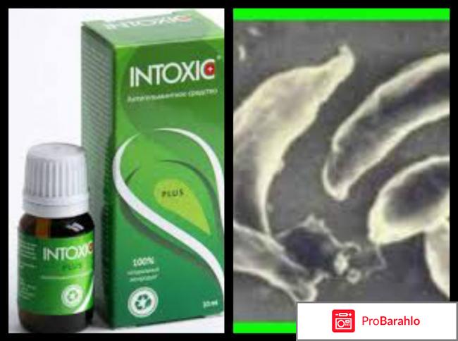 Intoxic plus 