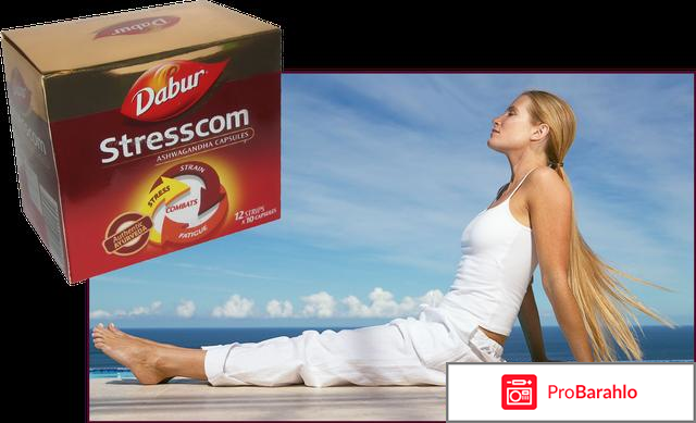 Стресском дабур отзывы отрицательные отрицательные отзывы