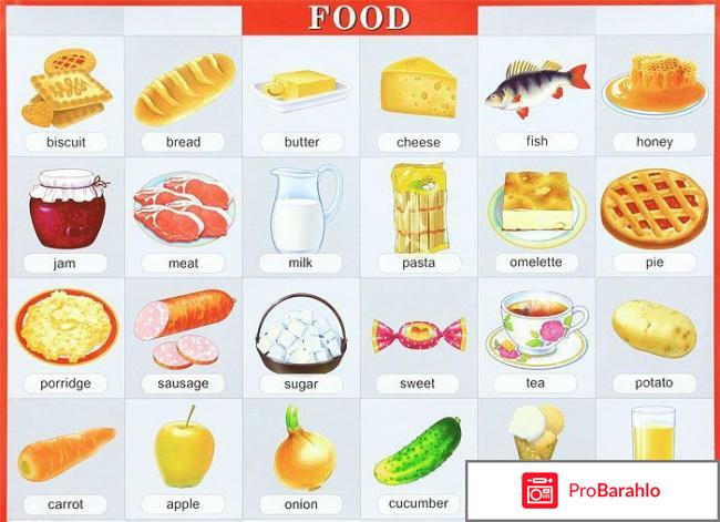 Продукты питания / Food. Плакат 