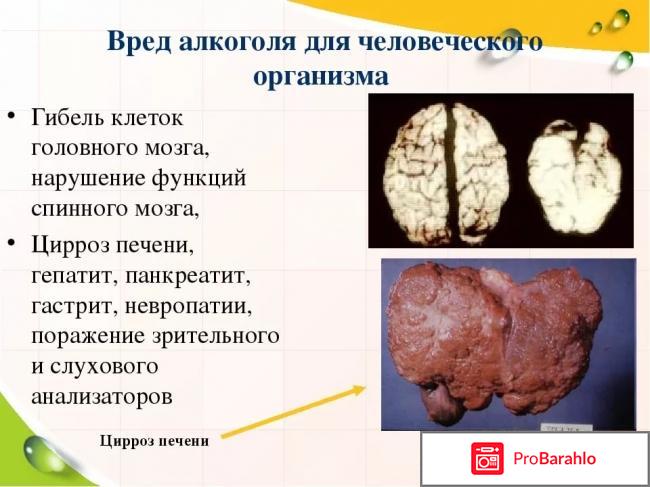 ALKOFREEN NEO - средство от алкогольной зависимости отрицательные отзывы