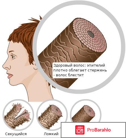 Биоламинирование волос отзывы отрицательные отзывы
