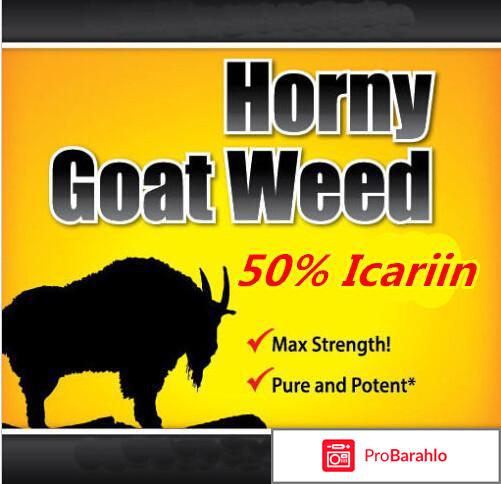 Икарин отрицательные отзывы