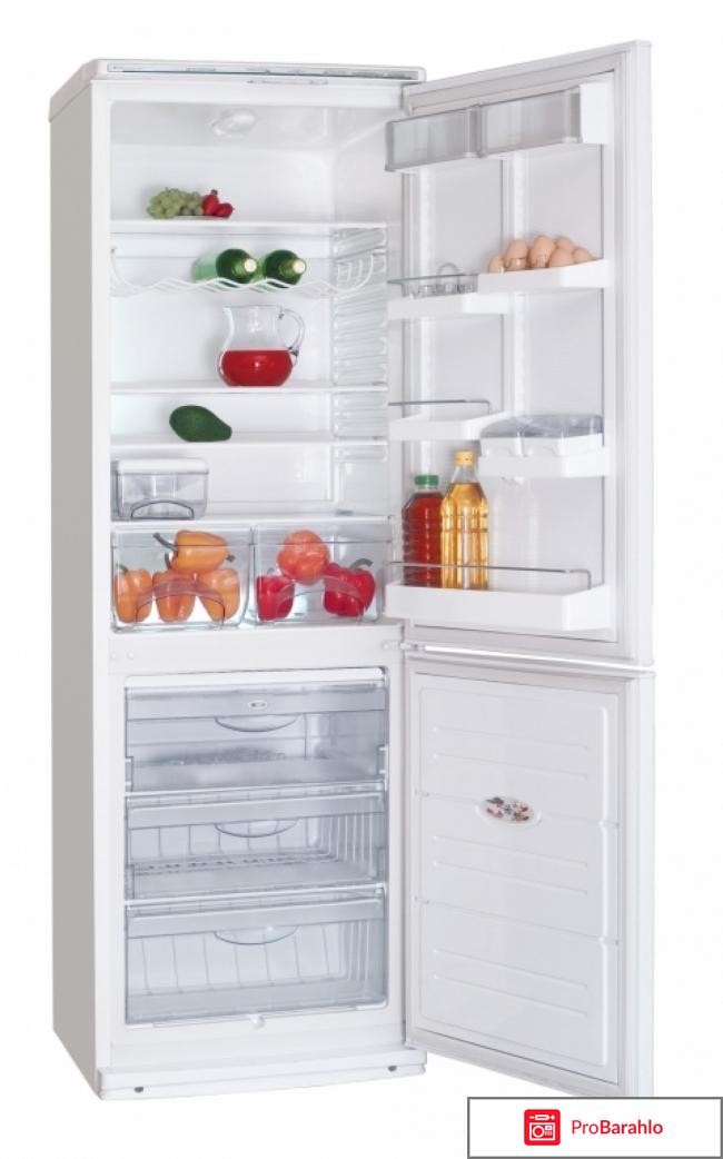 Двухкамерный холодильник ATLANT ХМ 6021-031 отрицательные отзывы