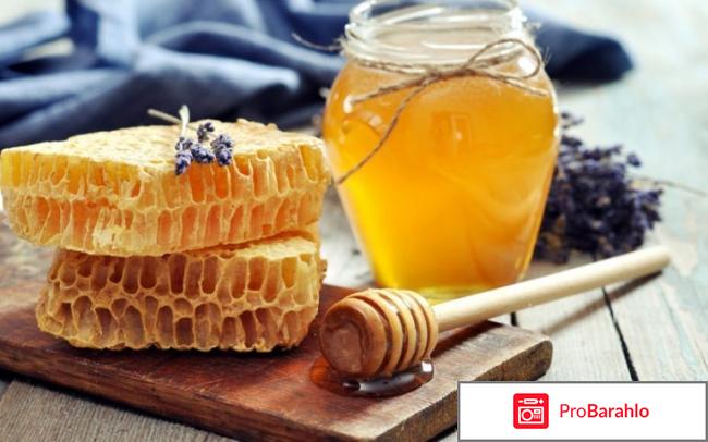 Медовая диета отзывы отрицательные отзывы