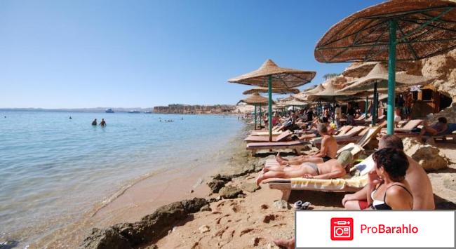 Dive inn resort отрицательные отзывы