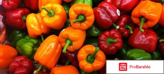 Выращивание перца в открытом грунте отрицательные отзывы