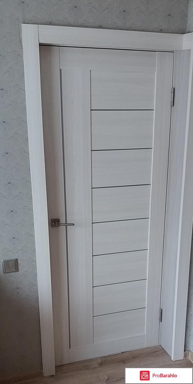 Двери profil doors 