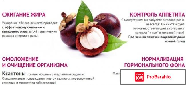 Реальные отзывы о препарате мангустин отрицательные отзывы
