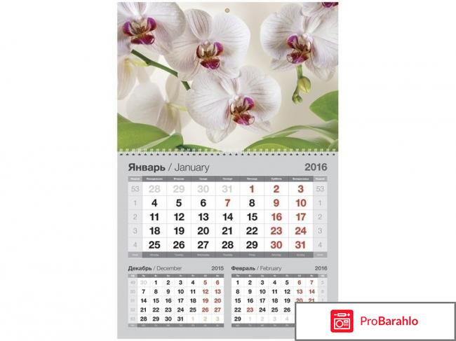 Книга  Белая орхидея. Календарь квартал. 2017 год обман