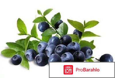 Вилави отрицательные отзывы отзывы владельцев