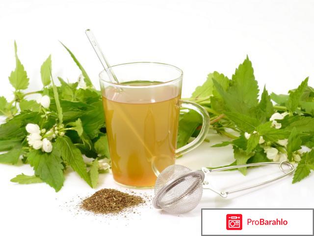 Боровая матка и красная щетка отзывы врачей отрицательные отзывы