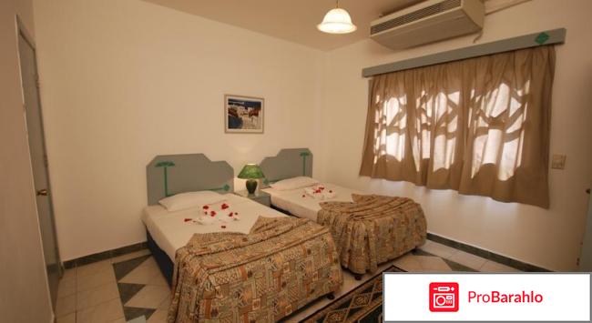 Dive inn resort обман