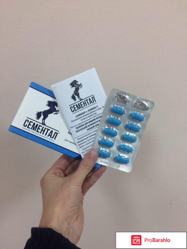 Сементал бад цена 