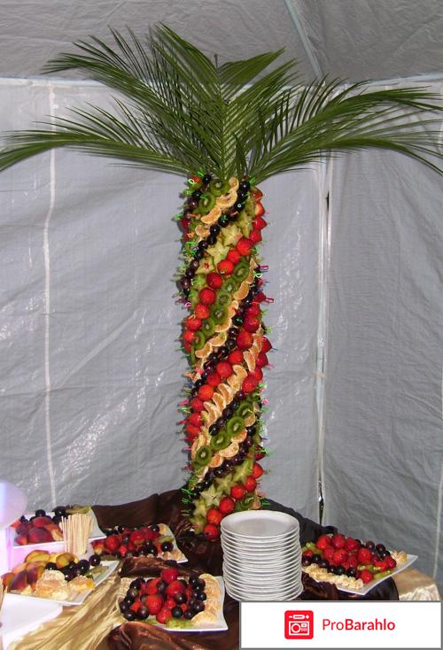 Пальму из фруктов фото