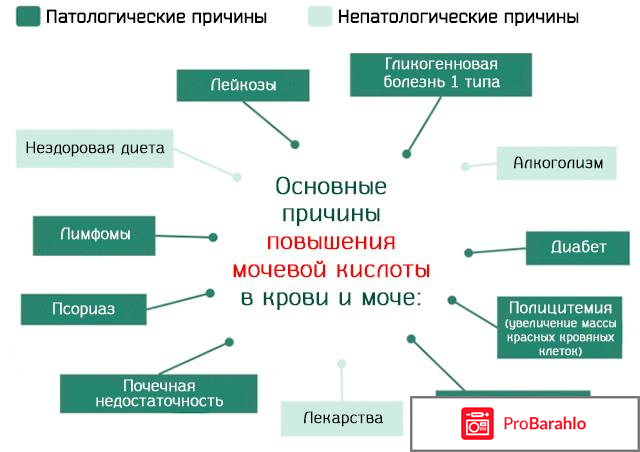 Чем опасна мочевая кислота в организме человека отрицательные отзывы