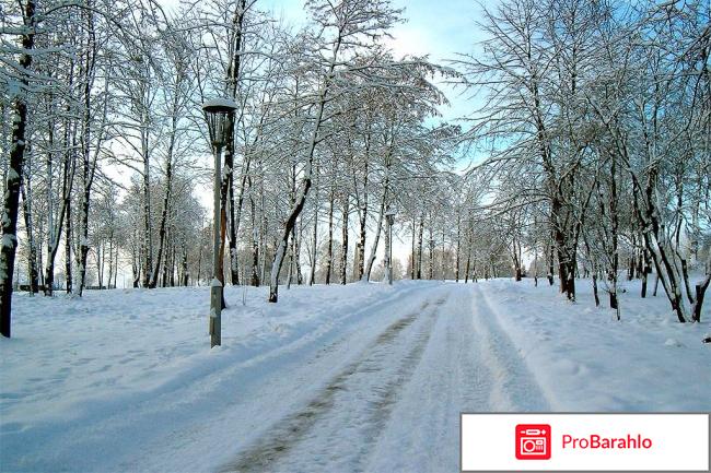 Гродно зимой отзывы туристов отзывы владельцев