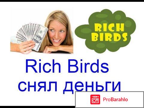 Http rich birds org 