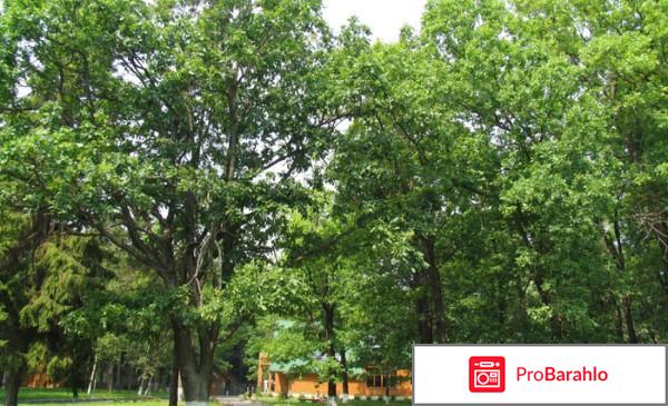 Парк отель фиеста отрицательные отзывы