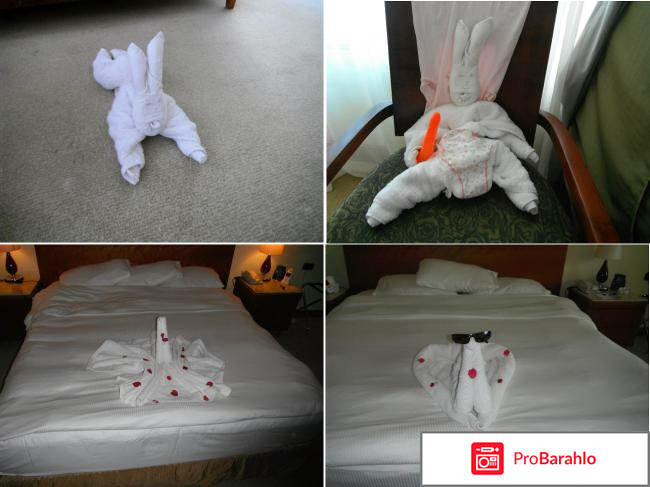 Отель хилтон отрицательные отзывы