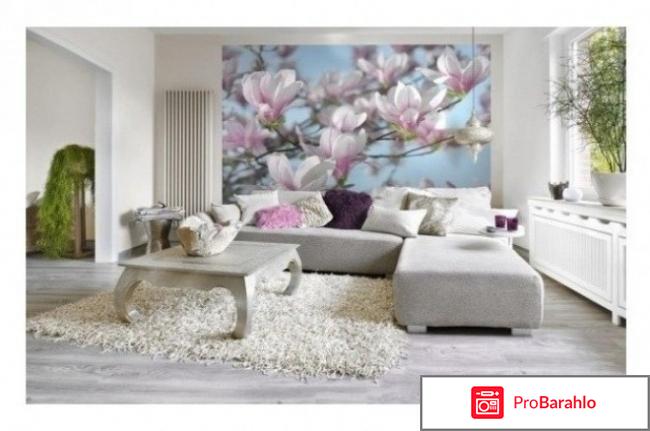 Komar отрицательные отзывы