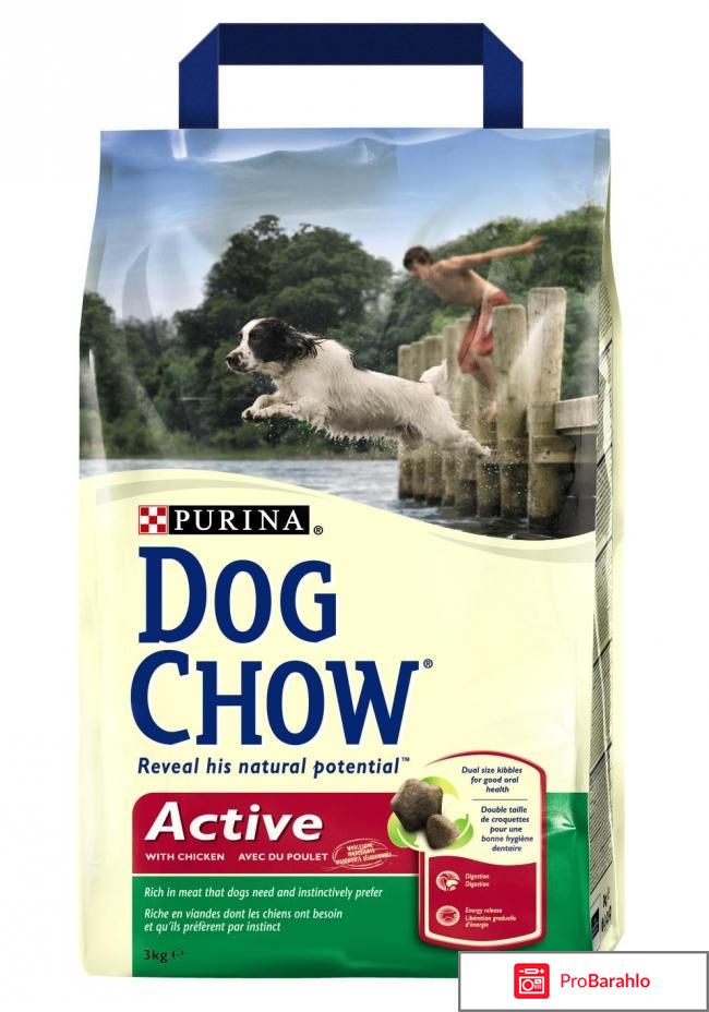 Корм dog chow 