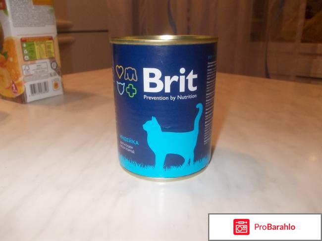 Brit Premium 