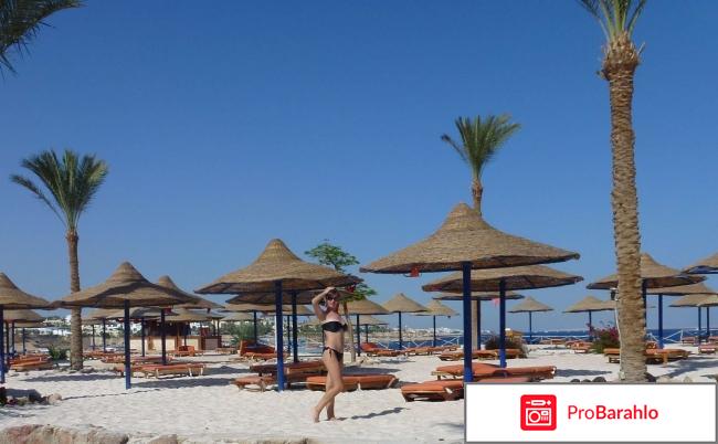 Dessole pyramisa sharm el sheikh resort обман
