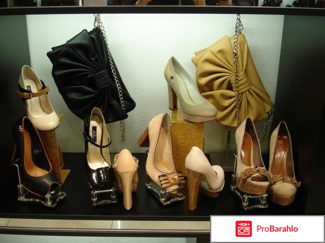 Паоло конте отрицательные отзывы