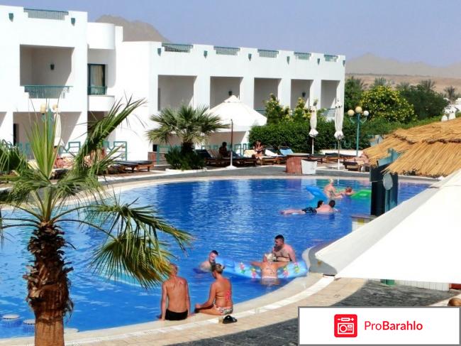 Sharm holiday реальные отзывы