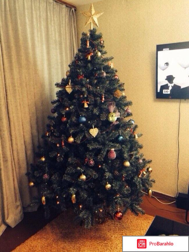 Исскуственная или живая елка