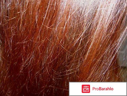 Окраска волос хной отзывы обман