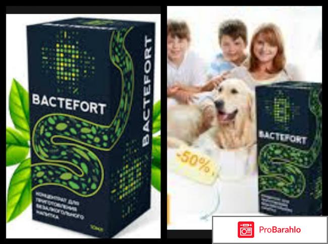 Bactefort отзывы развод или нет 