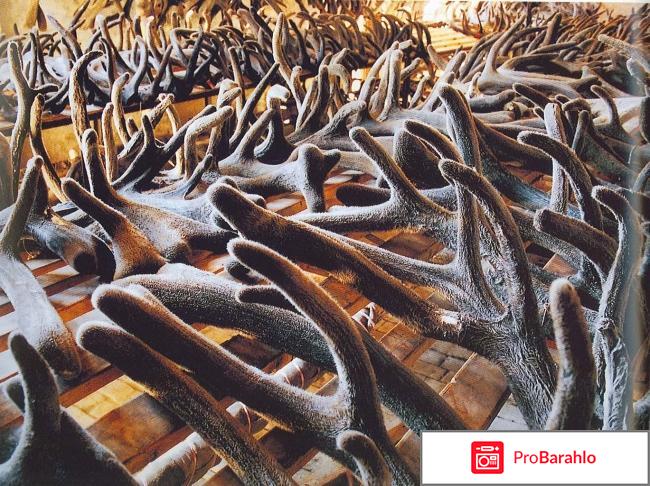 Гель для суставов Пантогор обман