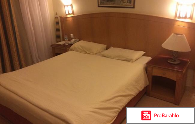 Египет дана бич отрицательные отзывы