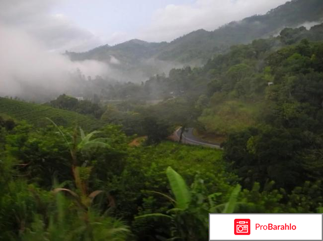 Шри ланка в ноябре отзывы туристов обман