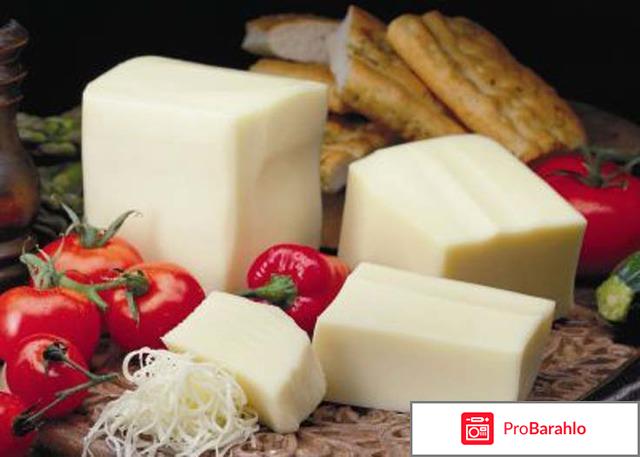 Сыр моцарелла 