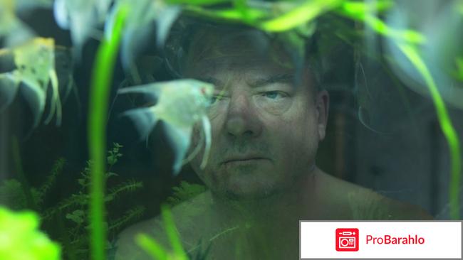 Фильм Херберт