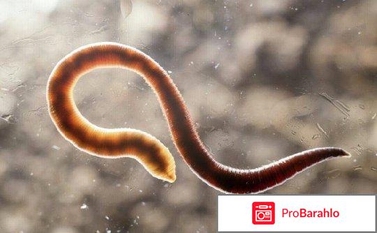 Глисты обман