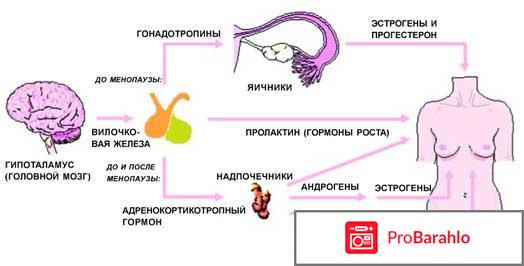 Повышен пролактин лечение отрицательные отзывы