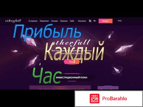 Инвестиционный проект EtherFull 