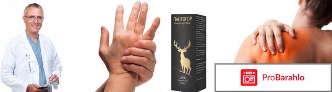 Гель пантогор развод