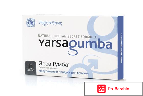 Отзывы ярсагумба 