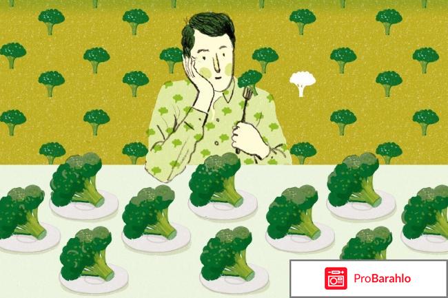 Меню здорового питания на день обман