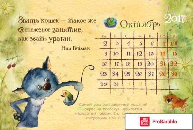 Книга  Настольный календарь 2017. 365 дней с котом 