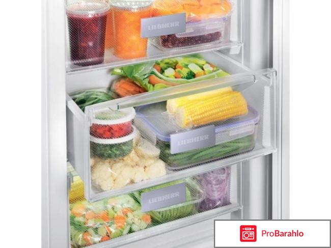 Морозильник Liebherr GP 2433-20 